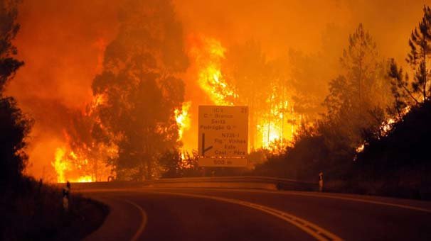 Portekiz'deki orman yangınlarında ölü sayısı yükseldi
